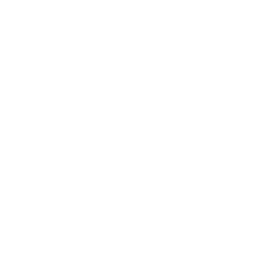 Dentures and Partials Icon
